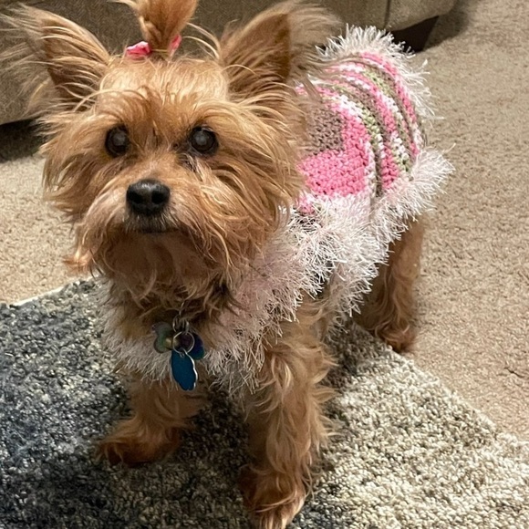 HAND CRAFTED Dog Sweater Coat Colorful Pink Chenille Cozy Crocheted XSmall - Picture 8 of 11
